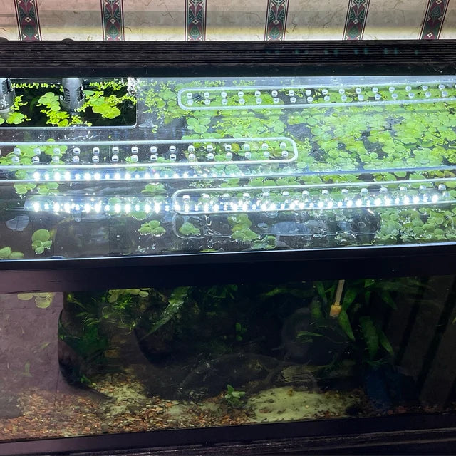 Clear Lid for Aqueon Tanks All Sizes