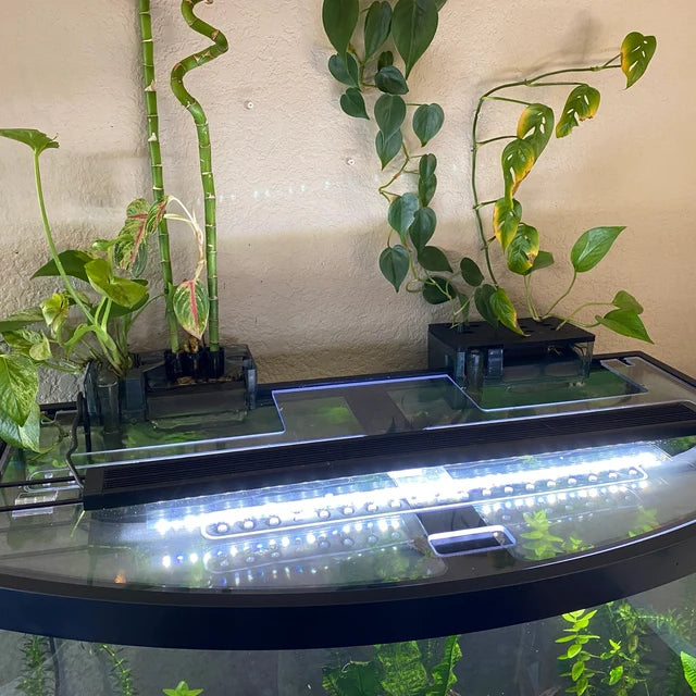 Clear Lid for Aqueon® Tanks All Sizes