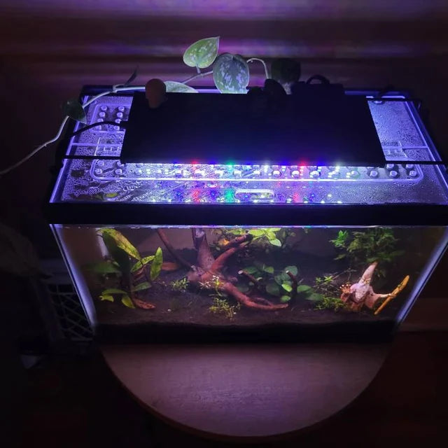 Clear Lid for TopFin® Tanks All Sizes