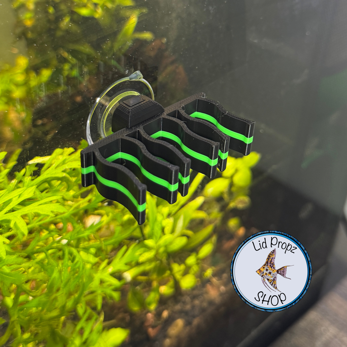 Bamboo Holder for Aquariums – Secure Design to Keep Bamboo Above Water for Nitrate Reduction and Healthy Growth