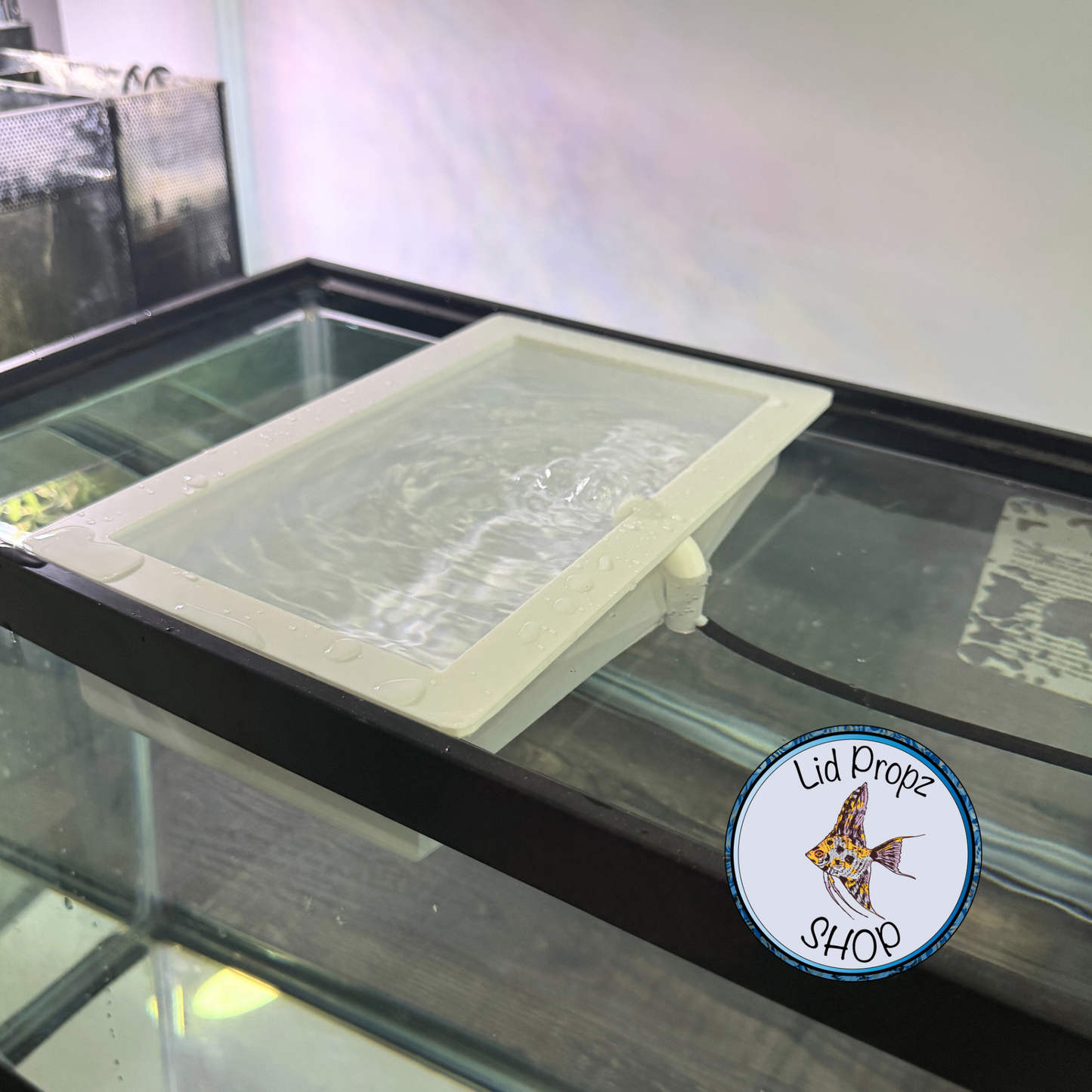 Breeder Box: In-Tank Safety Solution for Fish Fry and Eggs