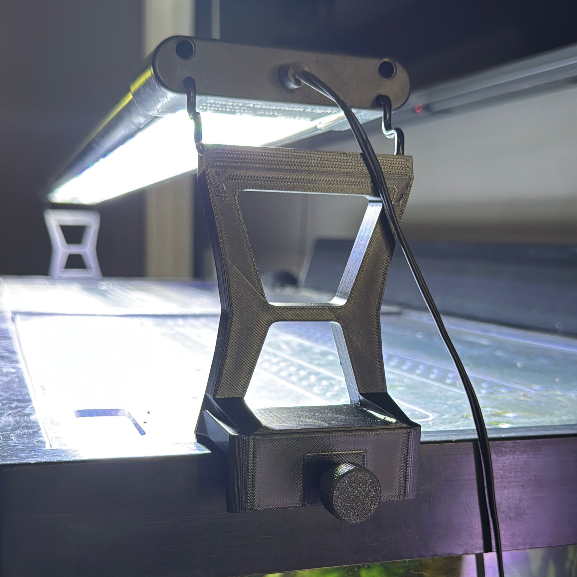 Light fixture on a glass surface with water plants below