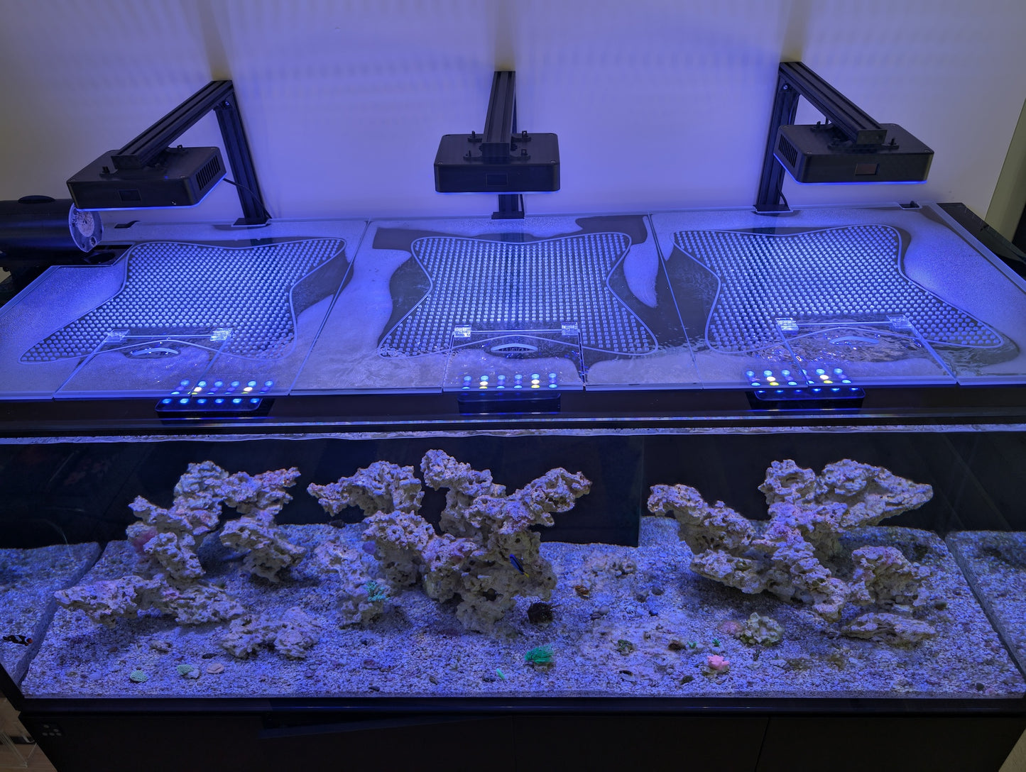 Clear Lid for Waterbox® Aquarium