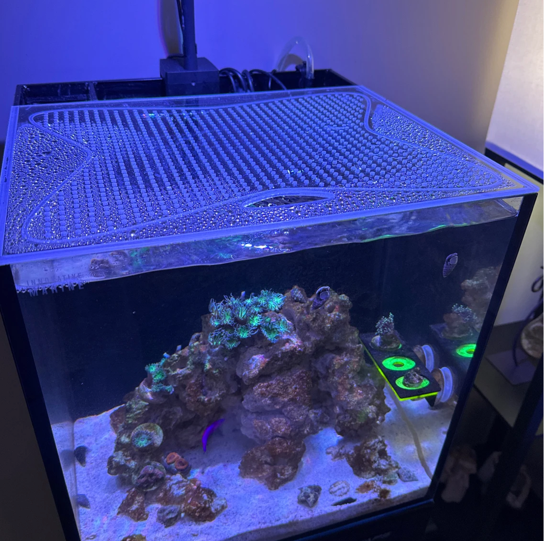 nnovative Marine Fusion 15, 20, 25 Gallon aquarium with a lid that delivers both style and function. Designed for a flawless fit and built to last, this lid is the perfect finishing touch for your tank.