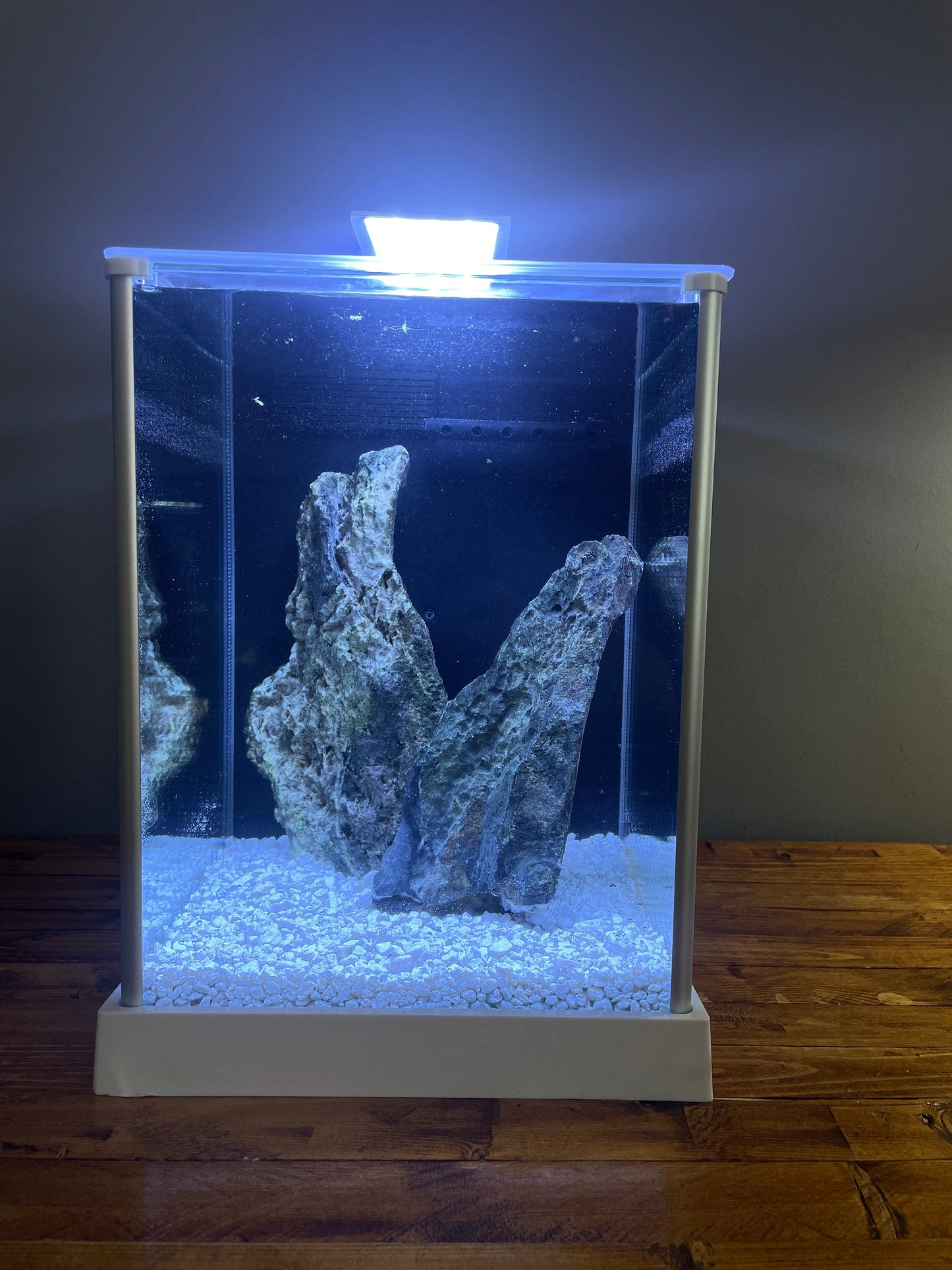 Lazy Flow spray bar attachment for Fluval Spec 3, 5, and 16 gallon tanks, plus Fluval EVO. Designed to reduce water flow, protect shrimp and bettas, and improve gentle circulation for nano aquariums.