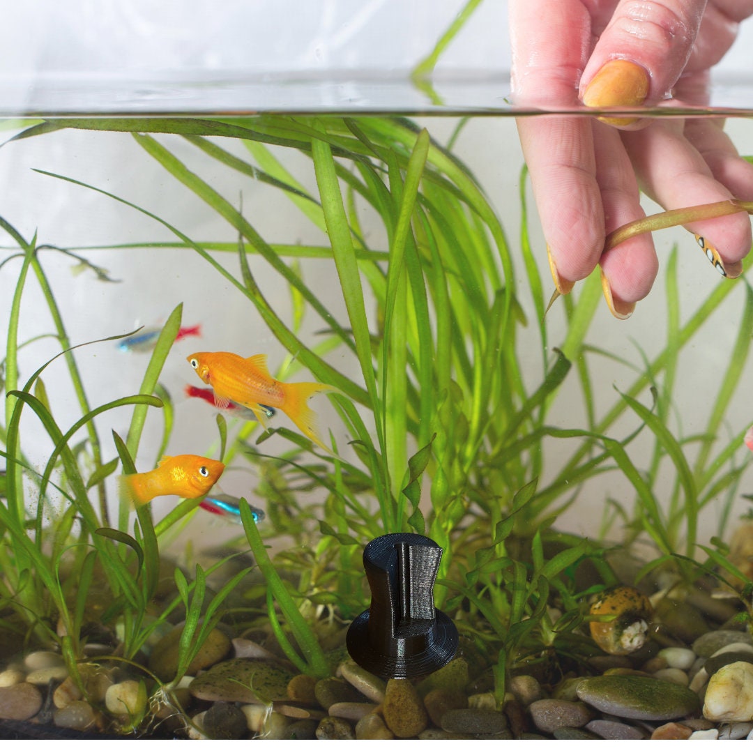 Aquarium Plant Anchor. Easily Hold Plant Under The Gravel