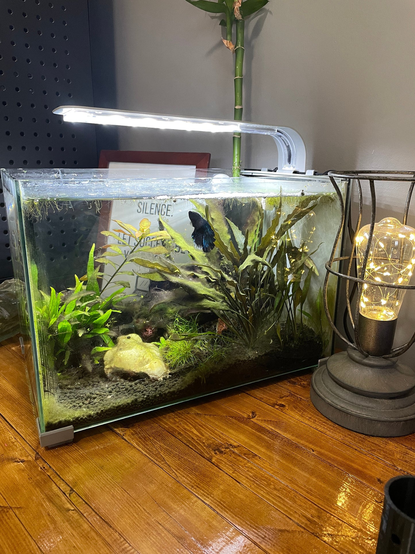 Topfin Retreat, calm water spray bar for Topfin fish tanks 2.5 Gal. and 5 Gal.