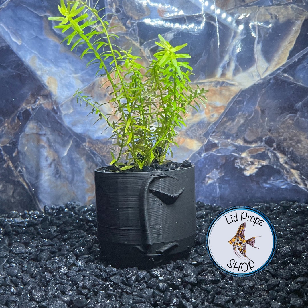 Aquarium pots for aquarium plants, clean planted aquariums, beginner aquarium plants