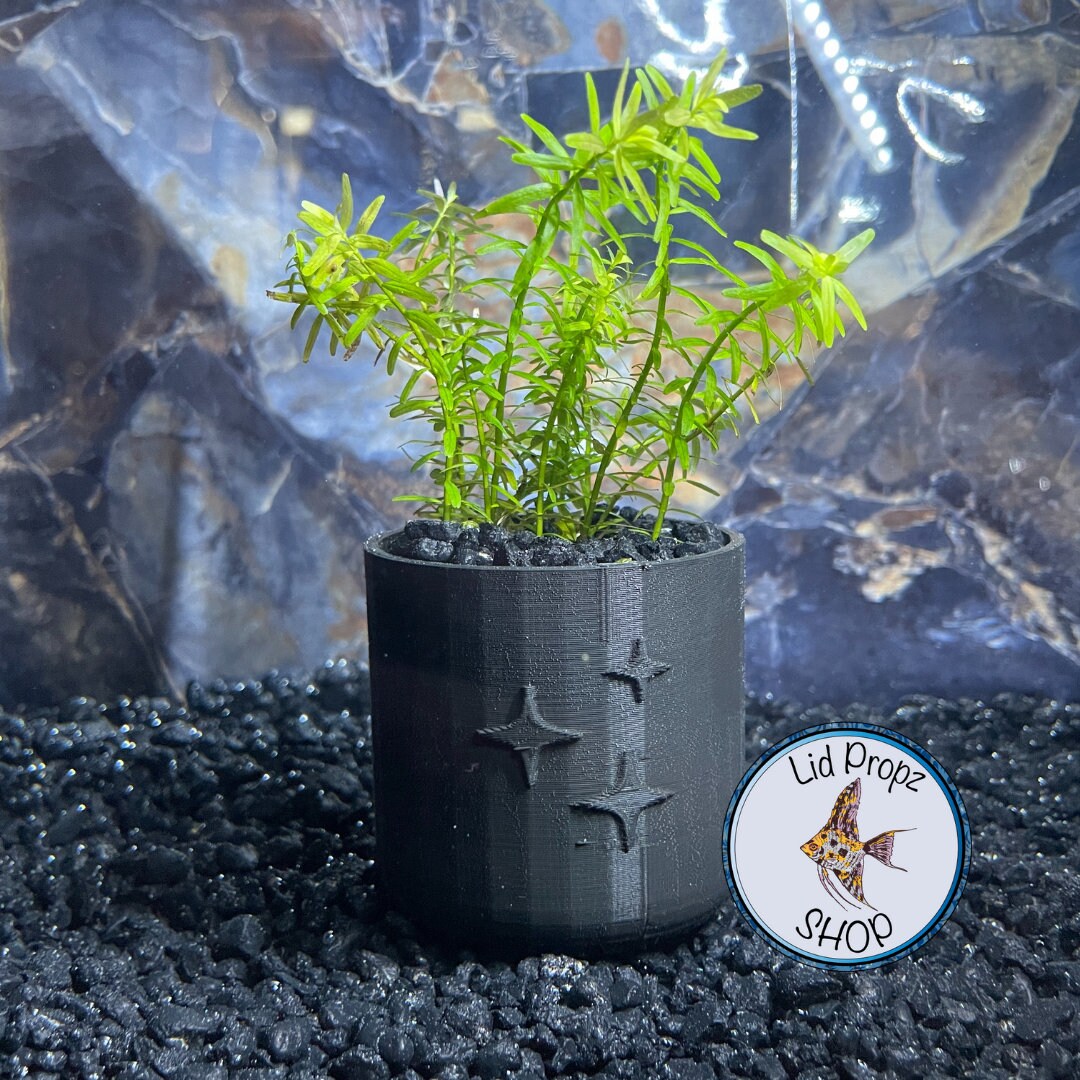 Aquarium pots for aquarium plants, clean planted aquariums, beginner aquarium plants