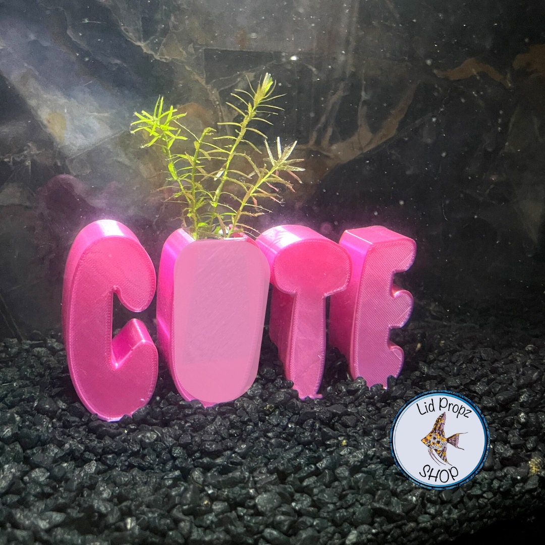 Cute Plant Pot, Aquarium plants, Great for beginner plants, Easy stem plants