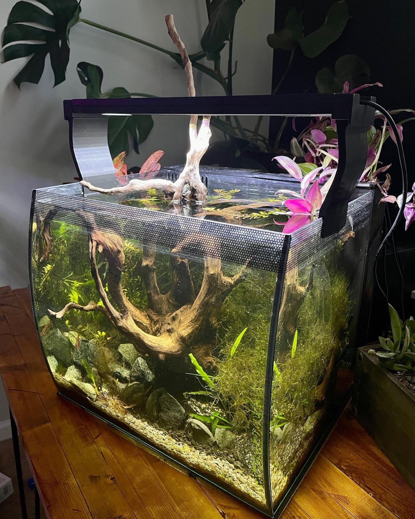 Light Riser For Fluval Aquasky, Plant 3.0 2.0, 9 gallon, 15 gallon and 32.5 gallon Fluval flex adapter riser. LED Light Risers, Set of 2