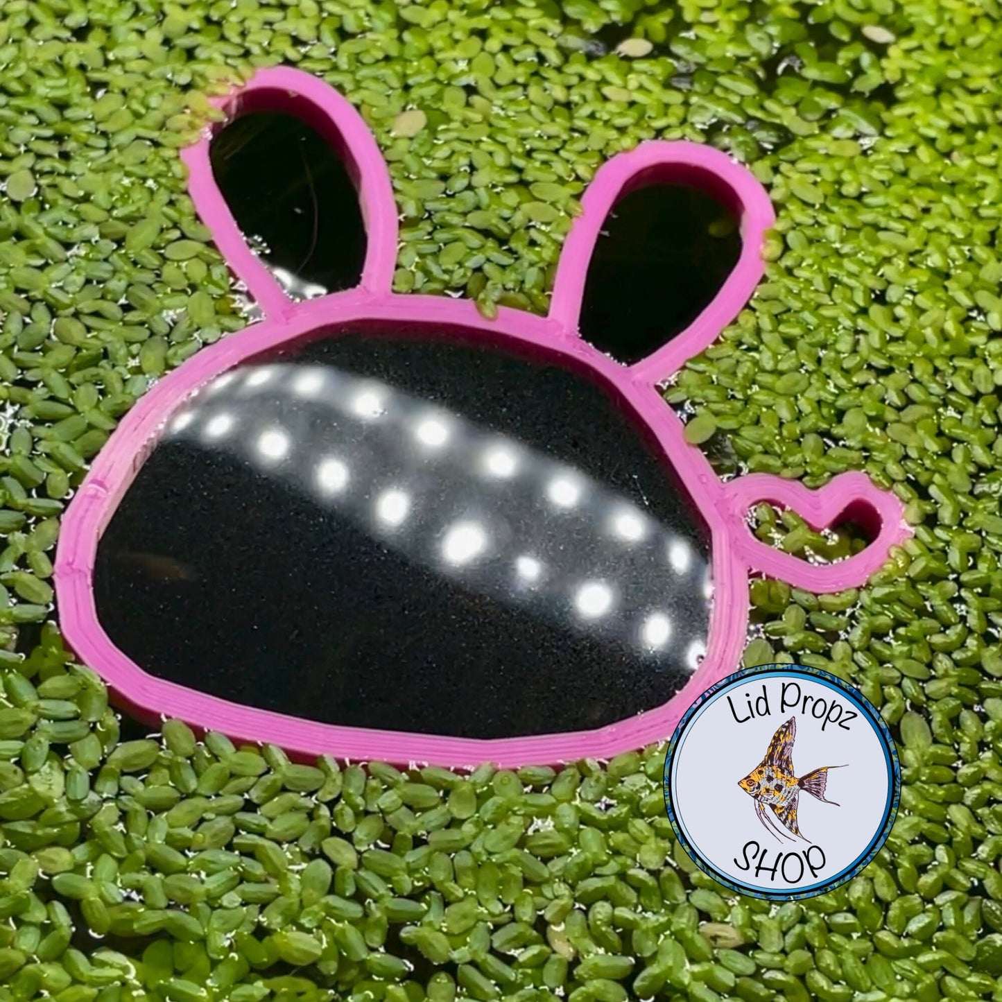 My CUTE Bunny feeding ring, floating betta ring food separator, 3"