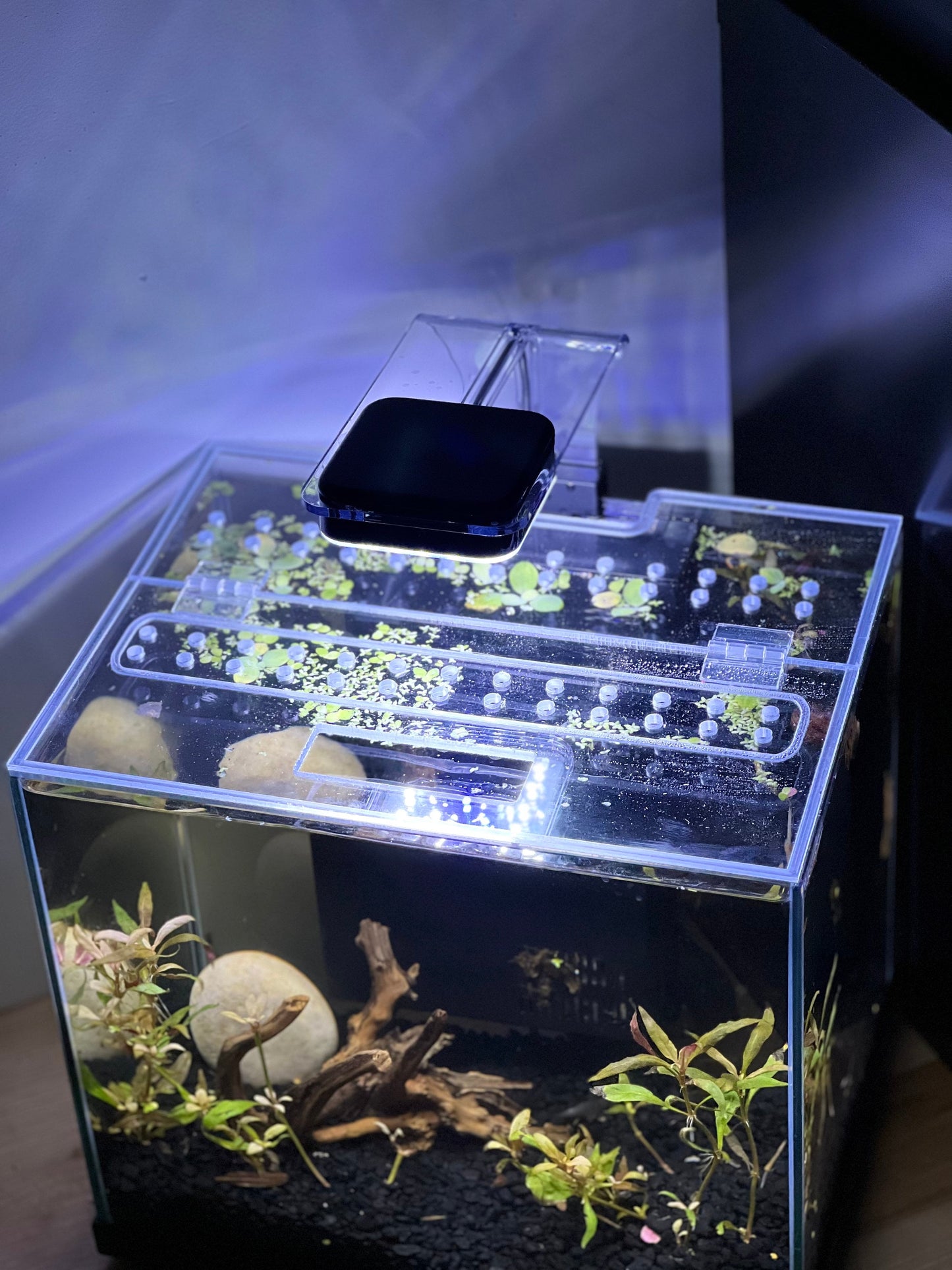 Clear Lids For All AQUATOP Fish Tanks, Cat Proof Design
