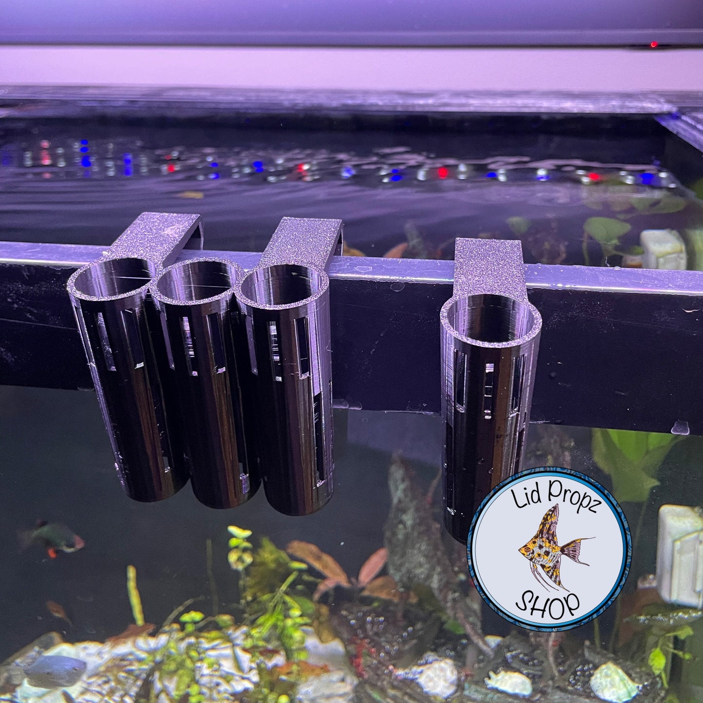 Pothos - Holder, CLIP ON, Aquaponics Aquarium, Wondering Dude, and many other plants. Nitrate Reducer!
