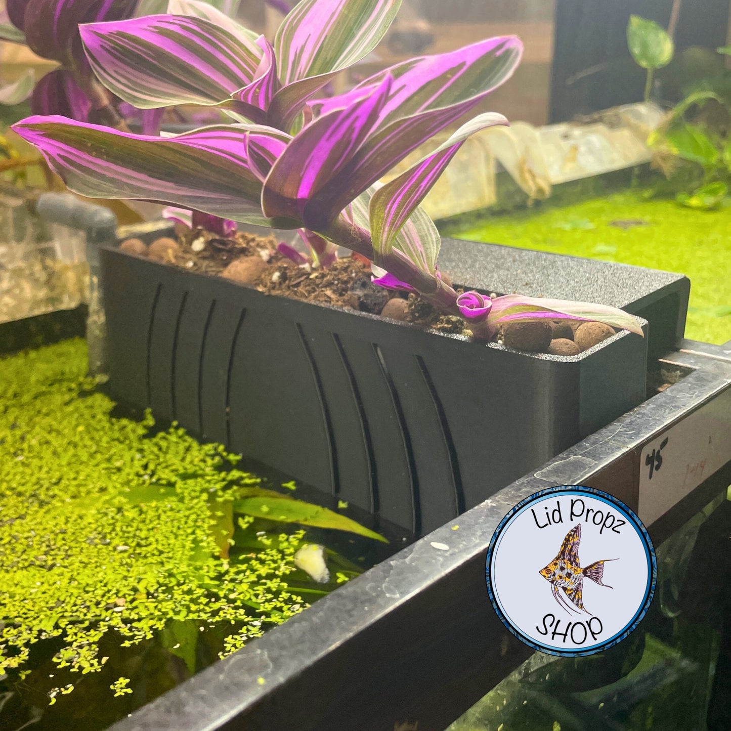 Aquarium Plant Holder Clip & Large Aquaponic Plant Box – Naturally Reduce Nitrates and Beautify Your Tank with Houseplants Plant Box Large.