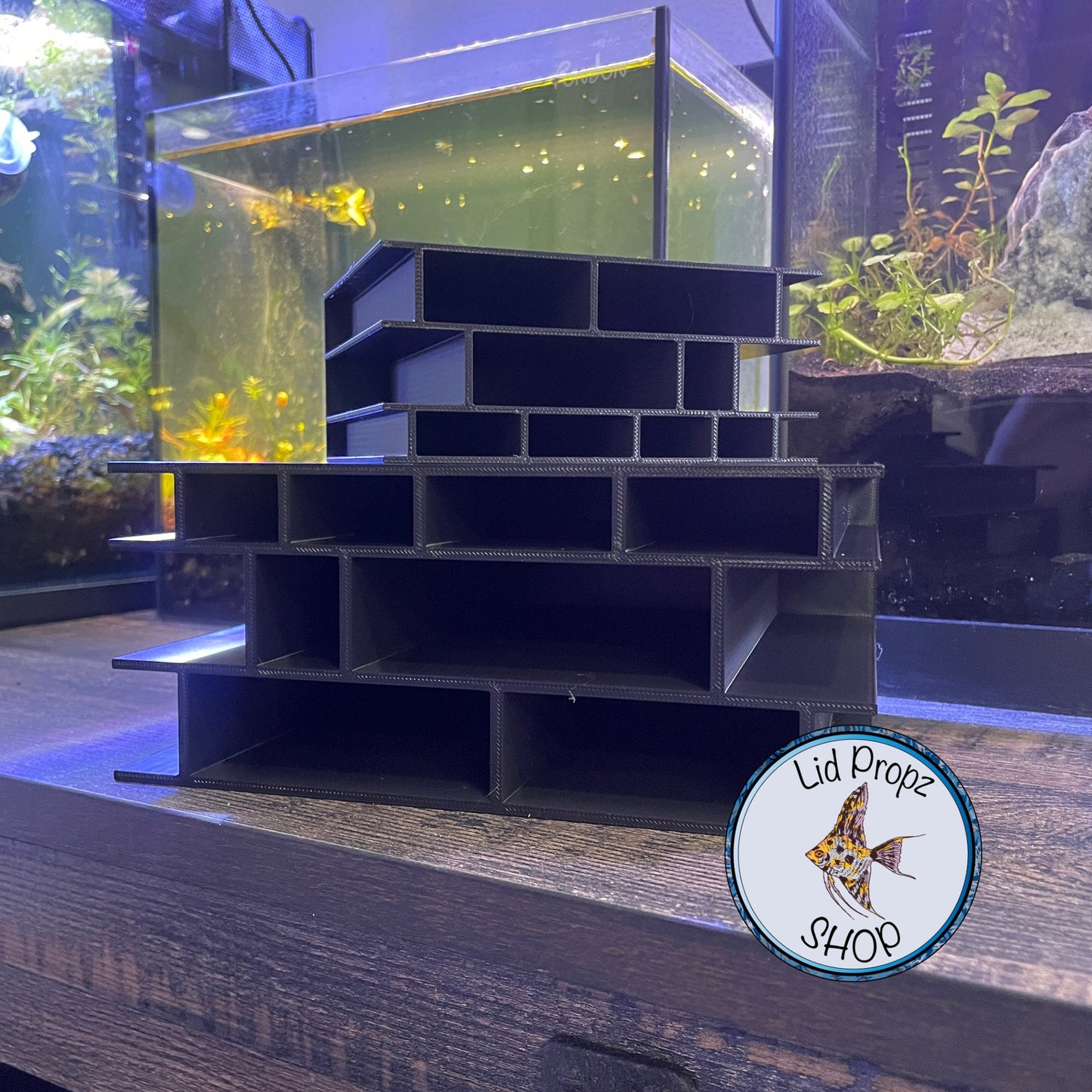 PLECO HOTEL, Pleco Hangout! Multi Spot, Large 7x7, Small 4x4