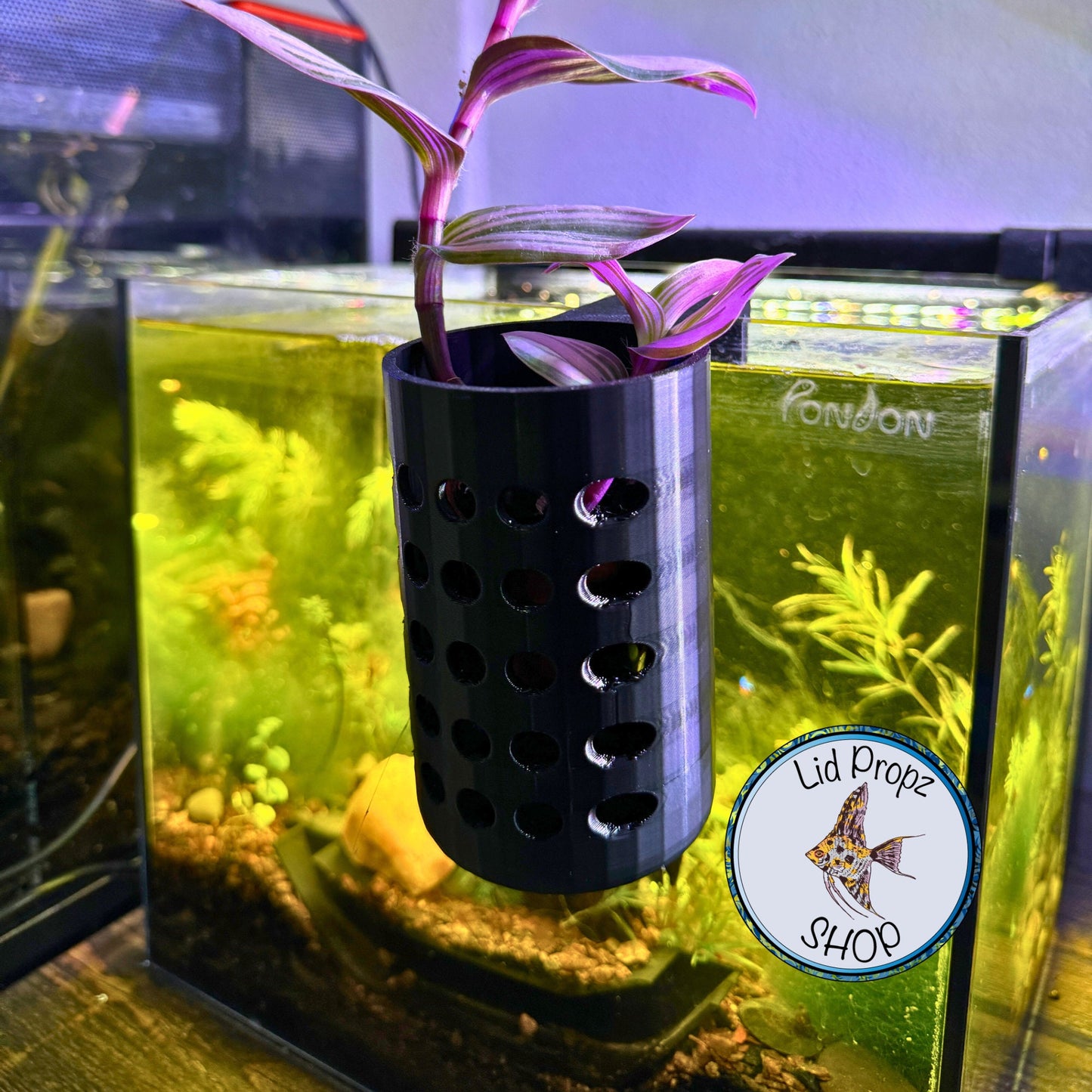 Aquarium plant stem holder WITH LECCA BALLS included! 3" Tall x 2" Wide! For fish tank propagation and aquarium nitrate reduction