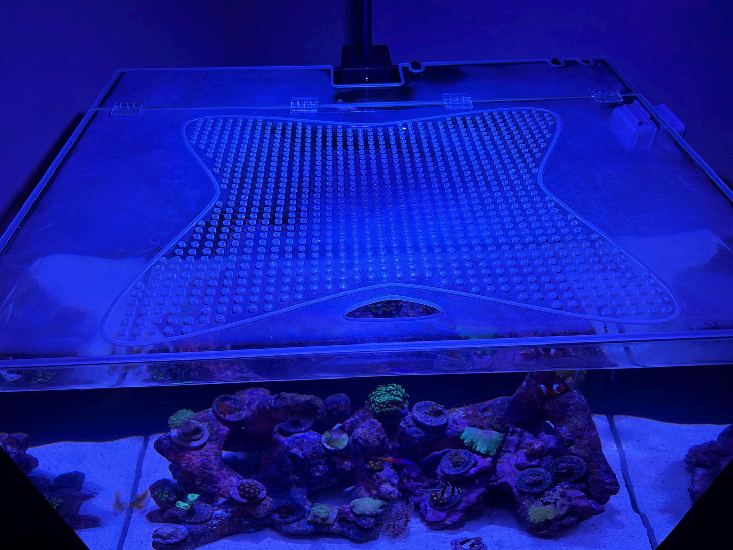 Tideline Aquarium Lids– Hinged, Ventilated, Built to Last