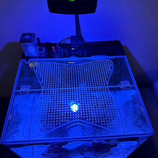 Tideline Aquarium Lids– Hinged, Ventilated, Built to Last