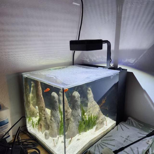 Tideline Aquarium Lids– Hinged, Ventilated, Built to Last