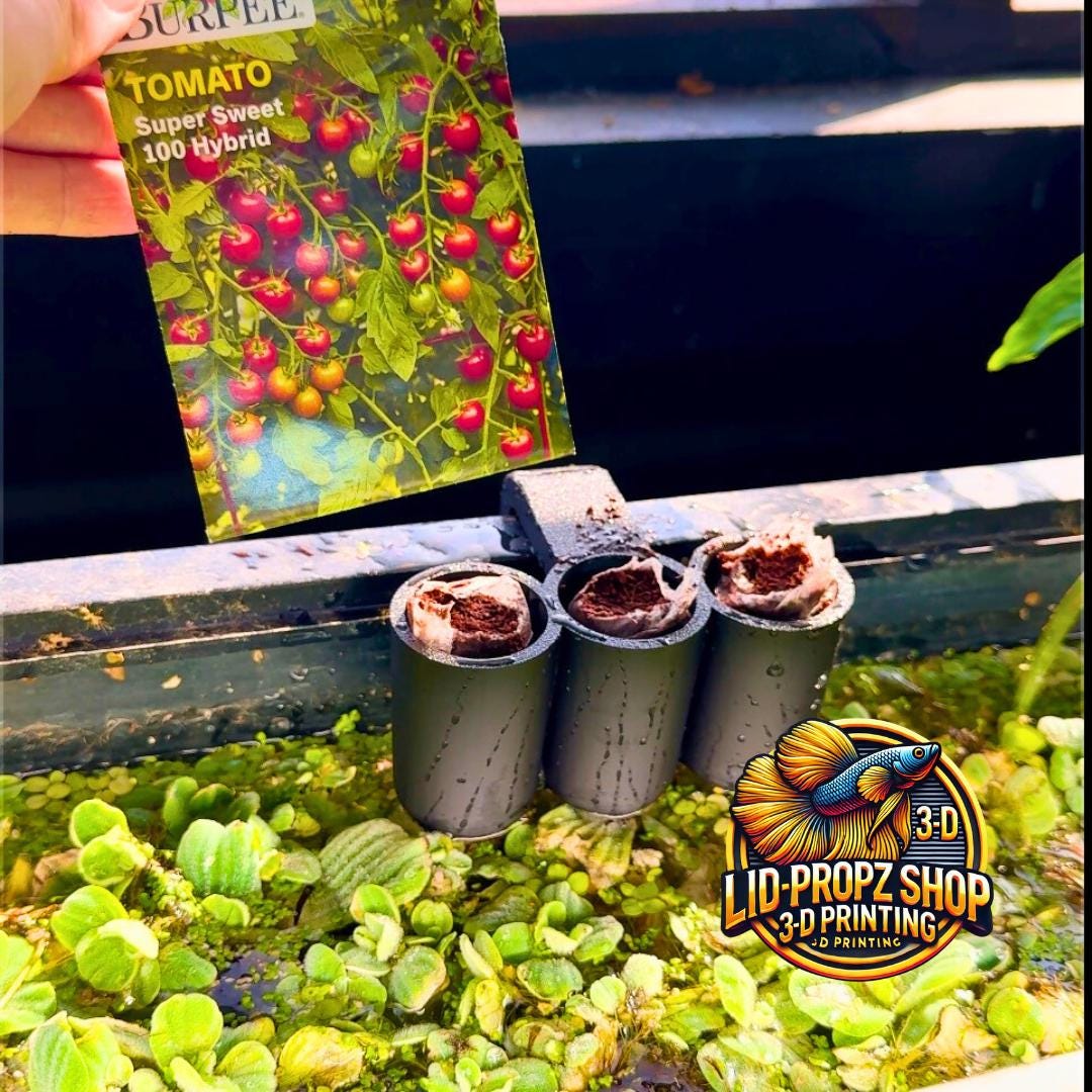 Aquarium Seed Starter, Plant Holder 1" Plant Opening, Great for Seed Starting, Pothos, Wondering Dude, and many other plants.