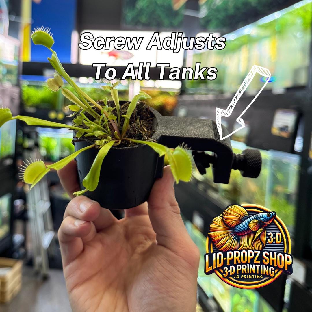 Carnivorous Plant Holder for Venus Fly Traps, Sundews, Pitcher Plants, Paludariums, Ripariums, and Terrariums – Fish Tank Safe Plant Mount