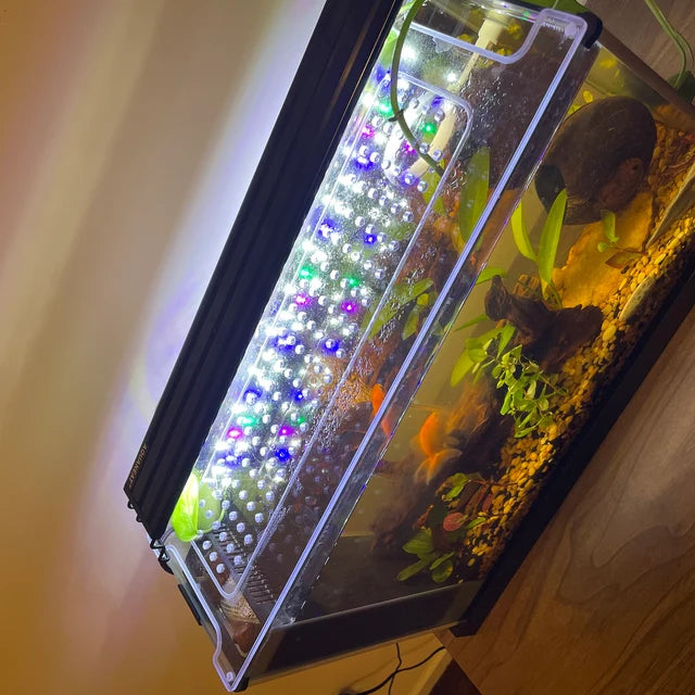 Lid For Fluval Spec® 3