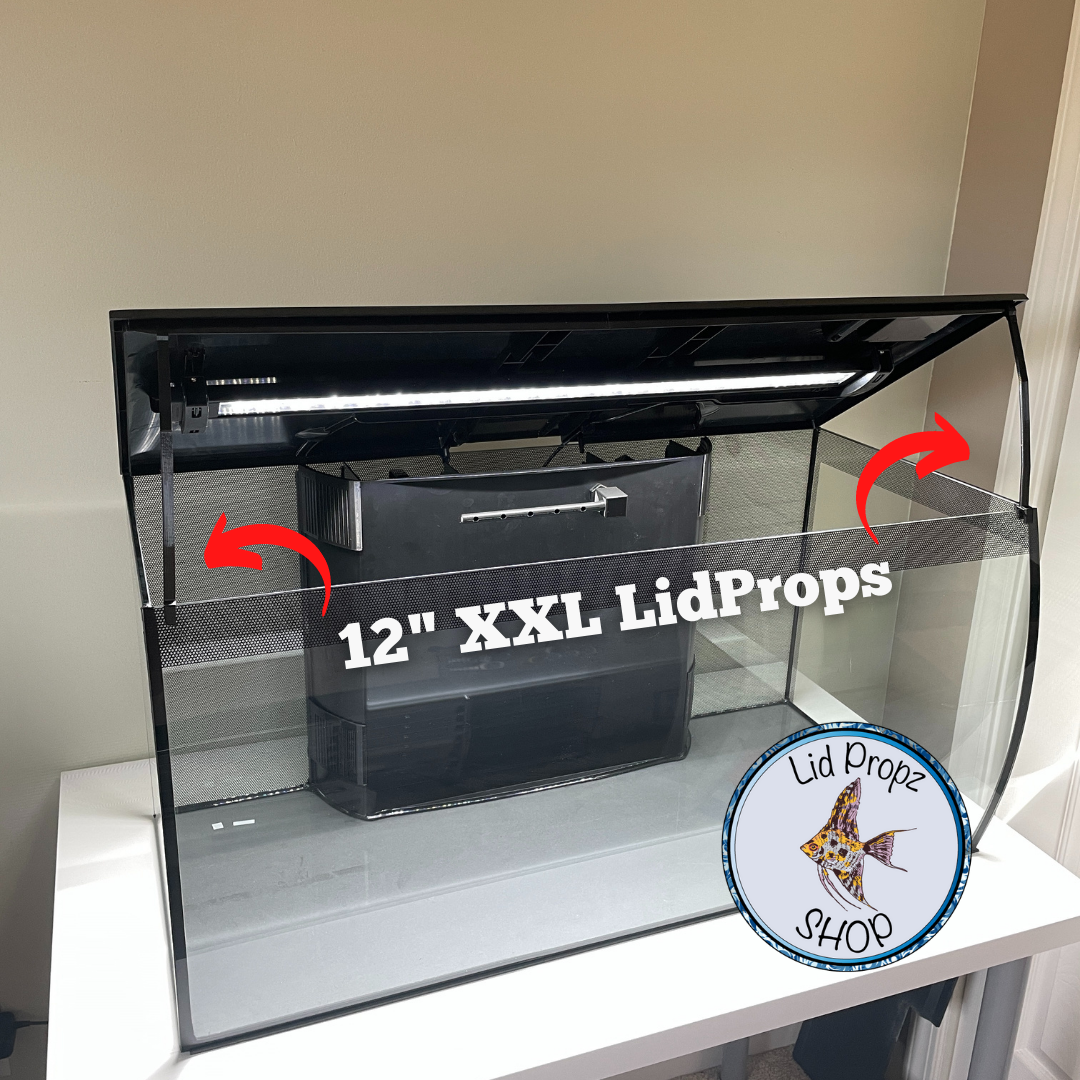 The Ultimate Fluval Flex 32.5G Upgrade Kit – Better Flow, Safer Fish, and Easy Maintenance
