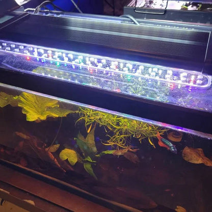Clear Lid for TopFin® Tanks All Sizes