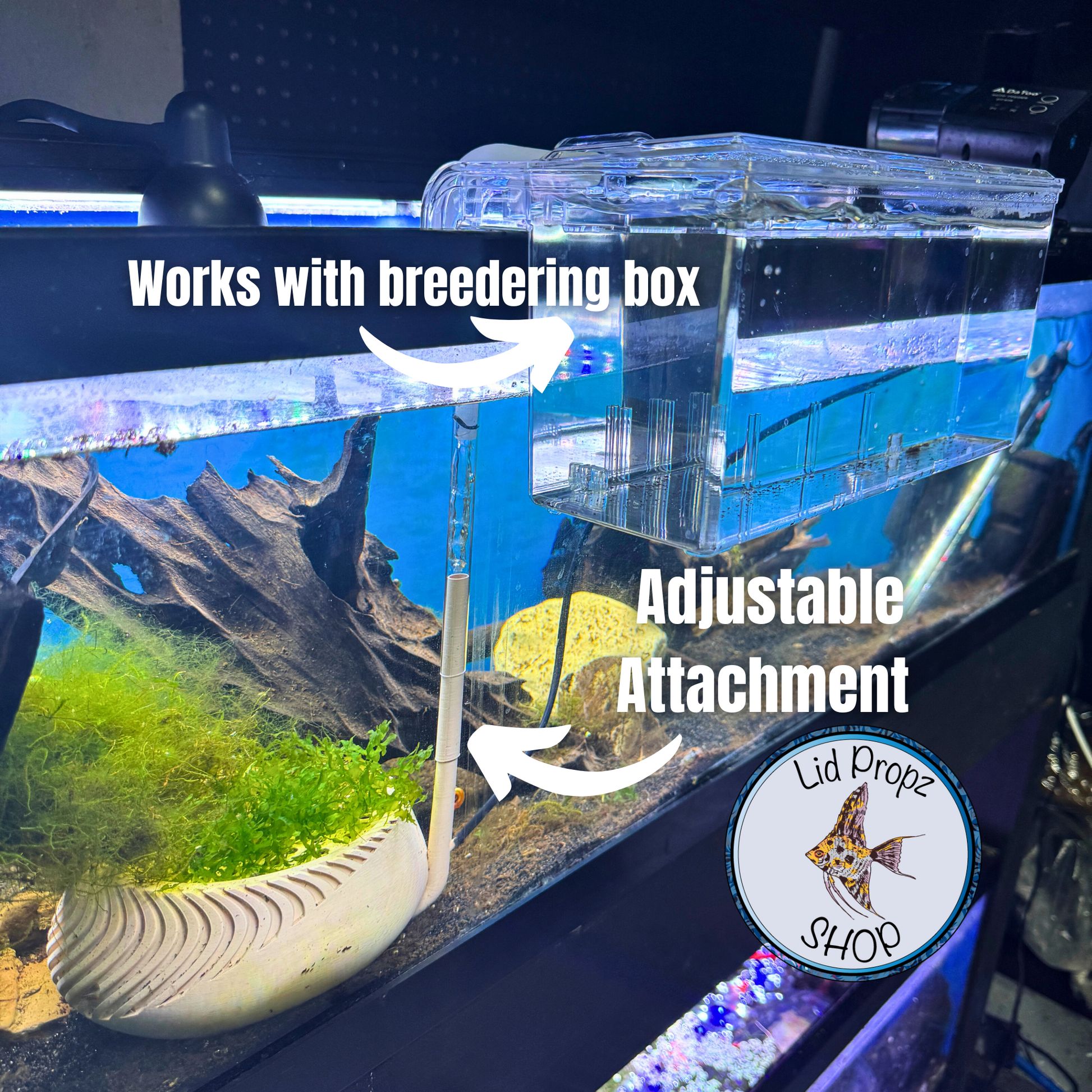 Automatic Fish Egg Catcher for Egg-Scattering Fish – Perfect for Celes – Walter Lids