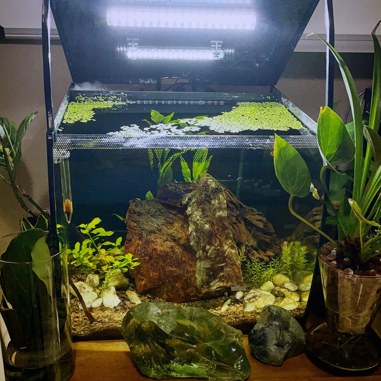 Durable Lid Props for Fluval Flex – Reliable Hood Support for 9 Gal, 15 Gal, and 32.5 Gal Tanks!