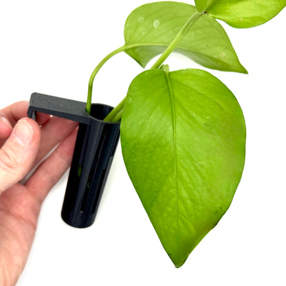 Multi-Stem Plant Clipping Holders for Aquariums – Secure Plant Propagation & Growth | Ideal for Freshwater & Saltwater Aquascaping