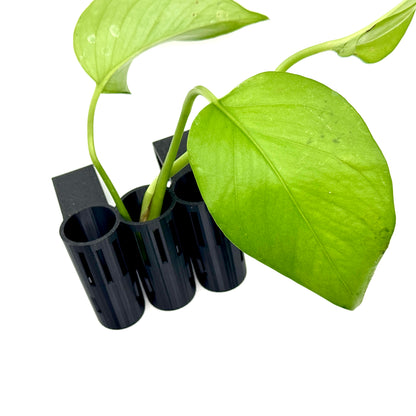 Multi-Stem Plant Clipping Holders for Aquariums – Secure Plant Propagation & Growth | Ideal for Freshwater & Saltwater Aquascaping