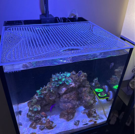 nnovative Marine Fusion 15, 20, 25 Gallon aquarium with a lid that delivers both style and function. Designed for a flawless fit and built to last, this lid is the perfect finishing touch for your tank.