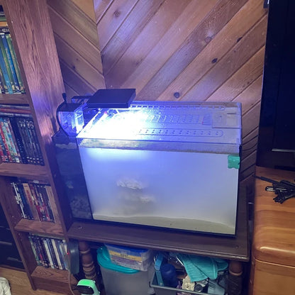 Lid For Fluval Evo® 13.5