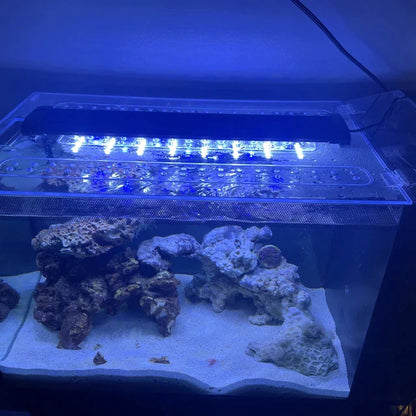 Clear Lid for Waterbox® Aquarium