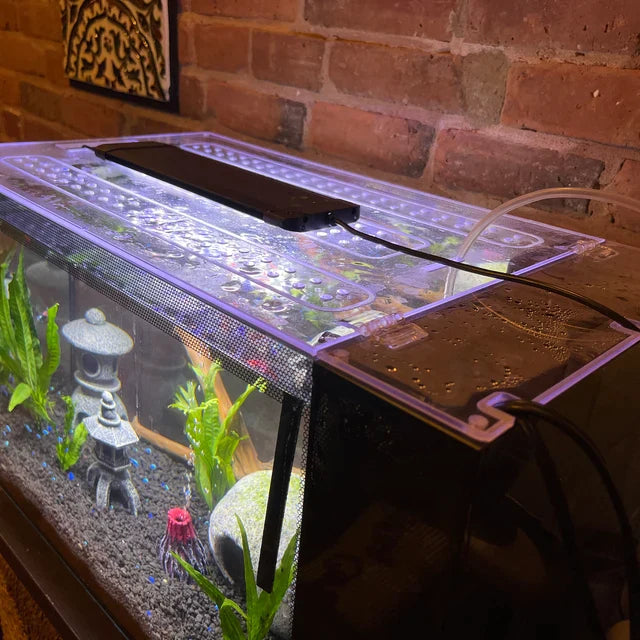 Clear Lid for Waterbox® Aquarium – WALTER LIDS