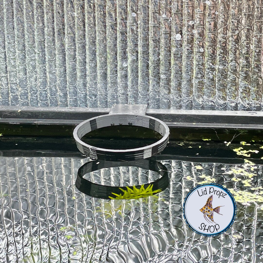 1 quart plant pot holder for aquariums. Common plants and aquaponics