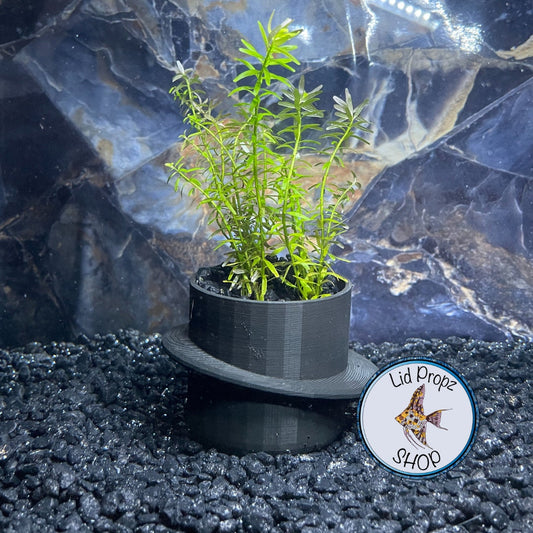 Aquarium pots for aquarium plants, clean planted aquariums, beginner aquarium plants