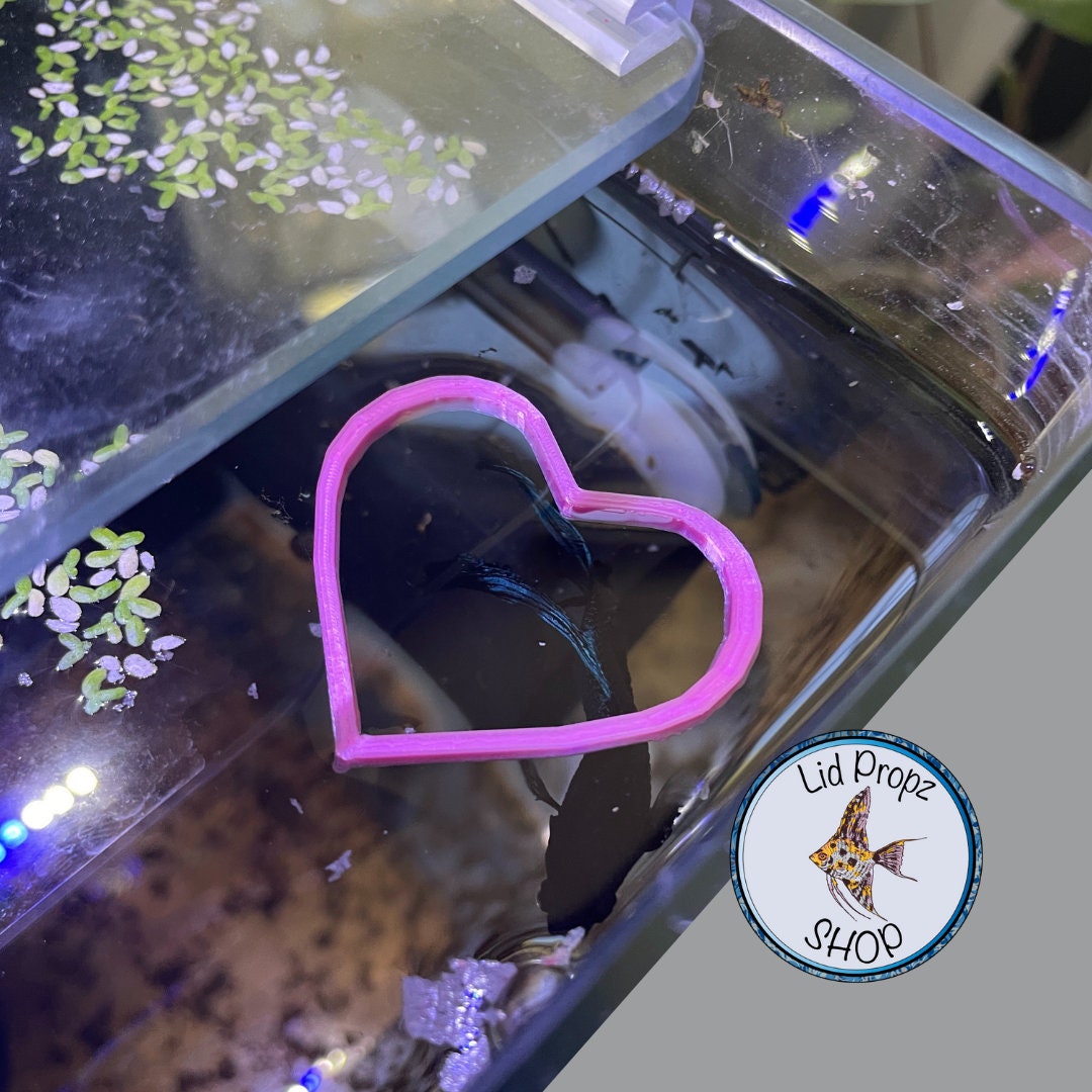My heart betta feeding ring, floating betta ring food separator, pink cute heart. 2"-3"