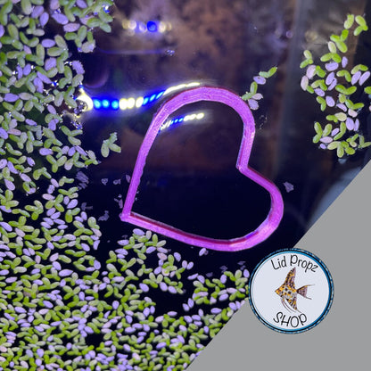 My heart betta feeding ring, floating betta ring food separator, pink cute heart. 2"-3"