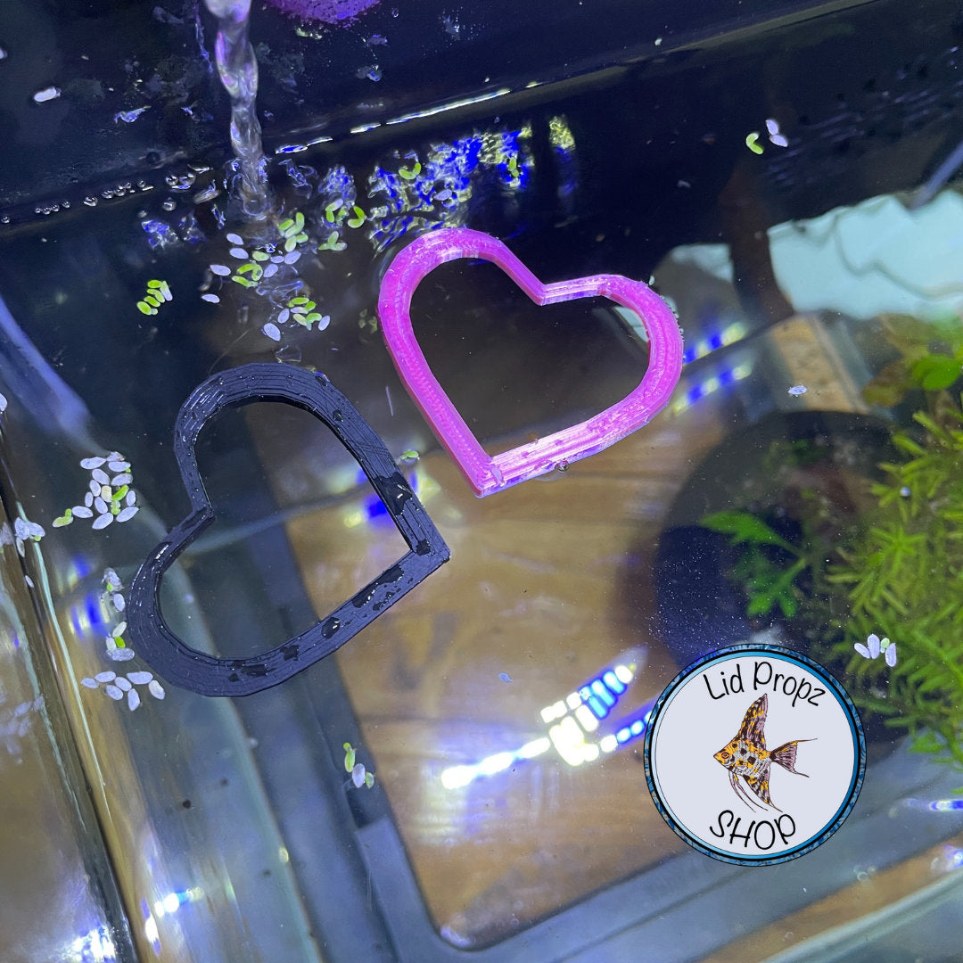My heart betta feeding ring, floating betta ring food separator, pink cute heart. 2"-3"