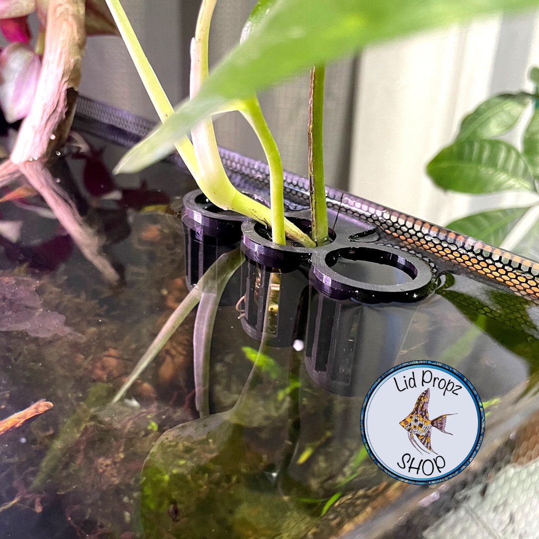 Triple plant holder in use inside a planted tank, holding Rotala and Hygrophila clippings. Mounted with a suction cup and designed with flow vents for oxygenation. Shrimp swim nearby.