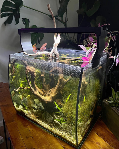 Light Riser For Fluval Aquasky, Plant 3.0 2.0,  9 gallon, 15 gallon and 32.5 gallon Fluval flex adapter riser. LED Light Risers, Set of 2