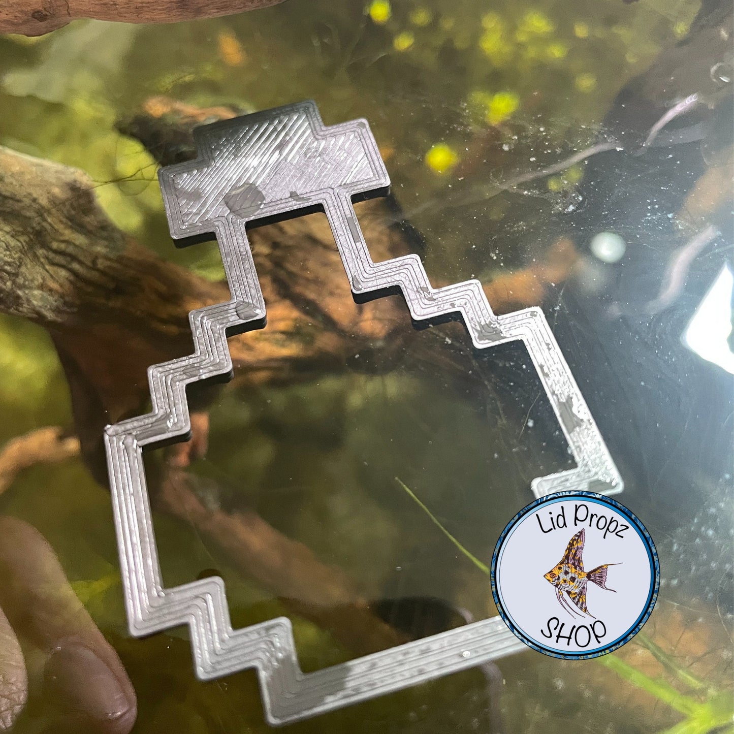 My CUTE Bunny feeding ring, floating betta ring food separator, 3"