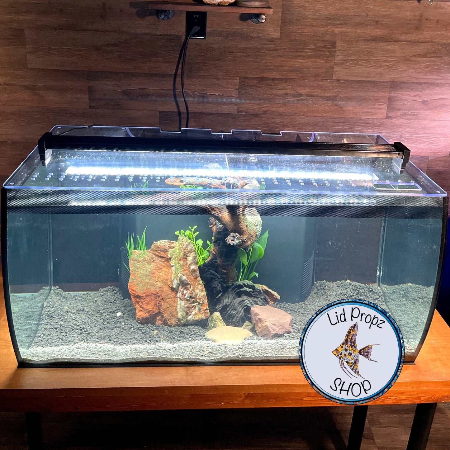 Clear Lid For Fluval Flex, Fits 9 Gal. 15 Gal. 32.5 Gal Tanks, Secure - Hinged Lid, No Sliding. Fish Tank Lids By Tank Topz, FREE SHIPPING