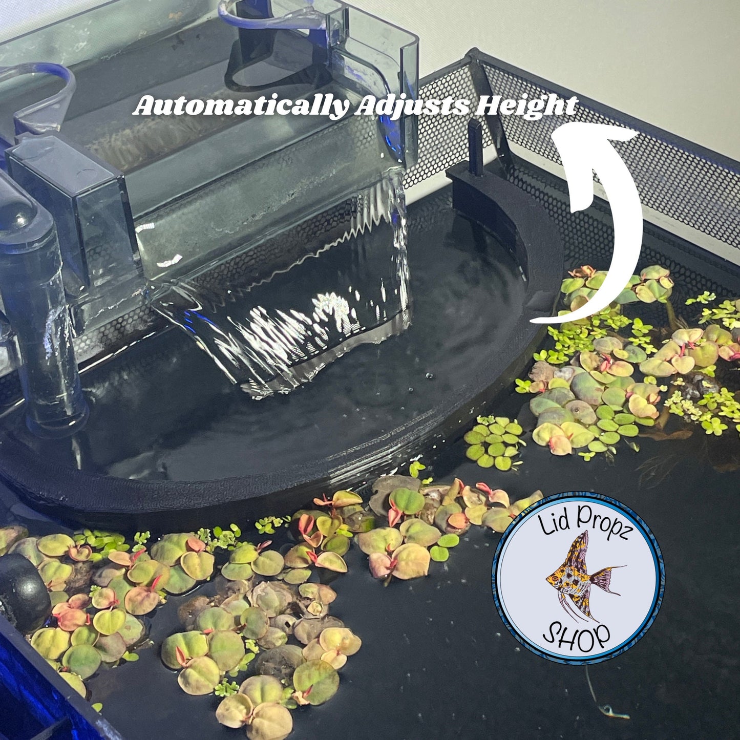 HOB Floater Protection, Water Level Adjusting Floater Protection, Small, Medium, and Large.