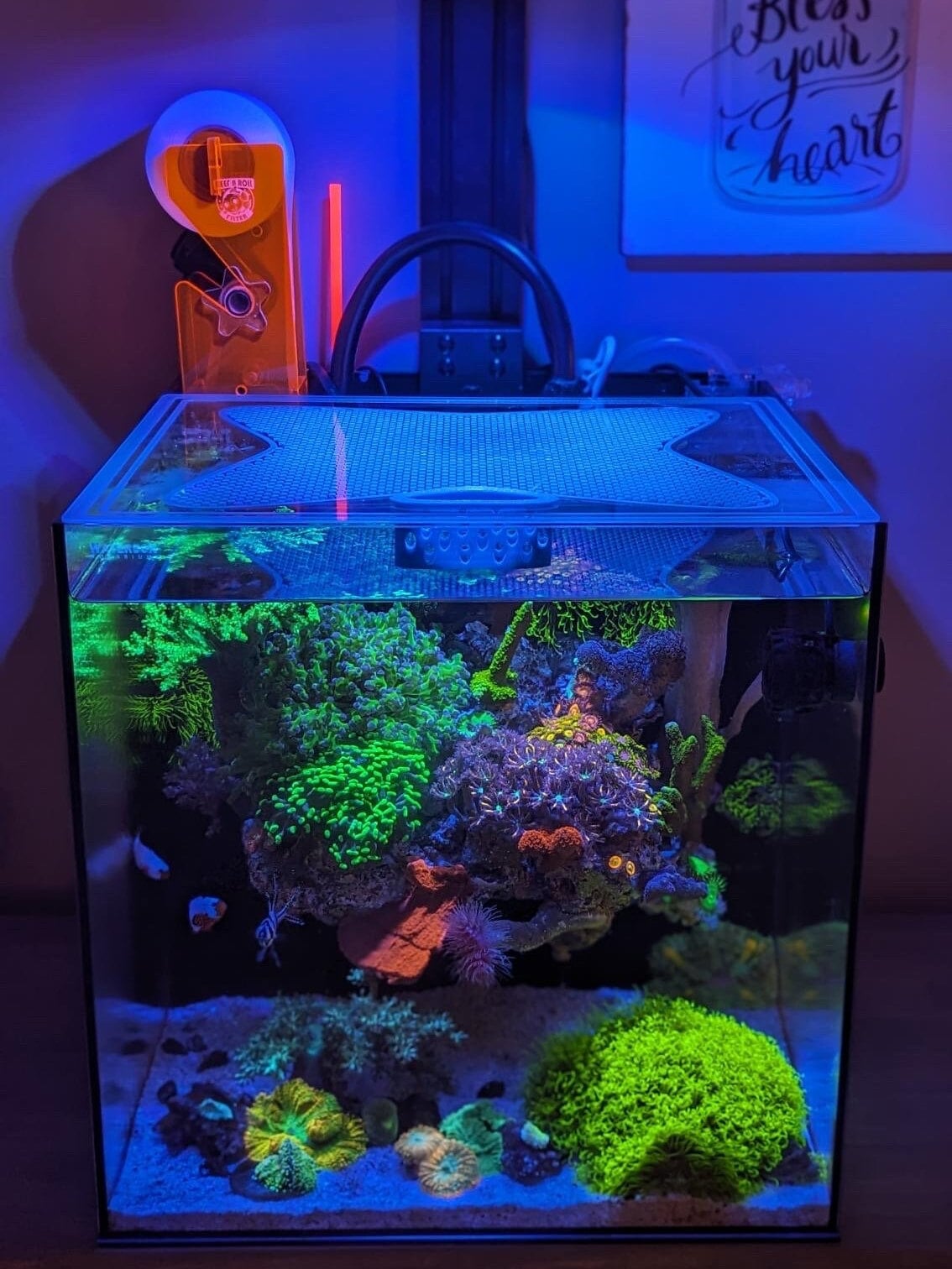 Lid For WATERBOX Aquariums CUBE and AIO Beta Free Shipping!
