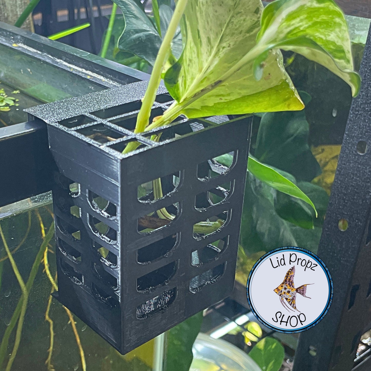 Plant Basket! Emerging Plant Holder, Aquarium Hanging Aquatic Plant Holder Fish Tank Decorations forPlants,Fish Tank Living Fish Shrimp