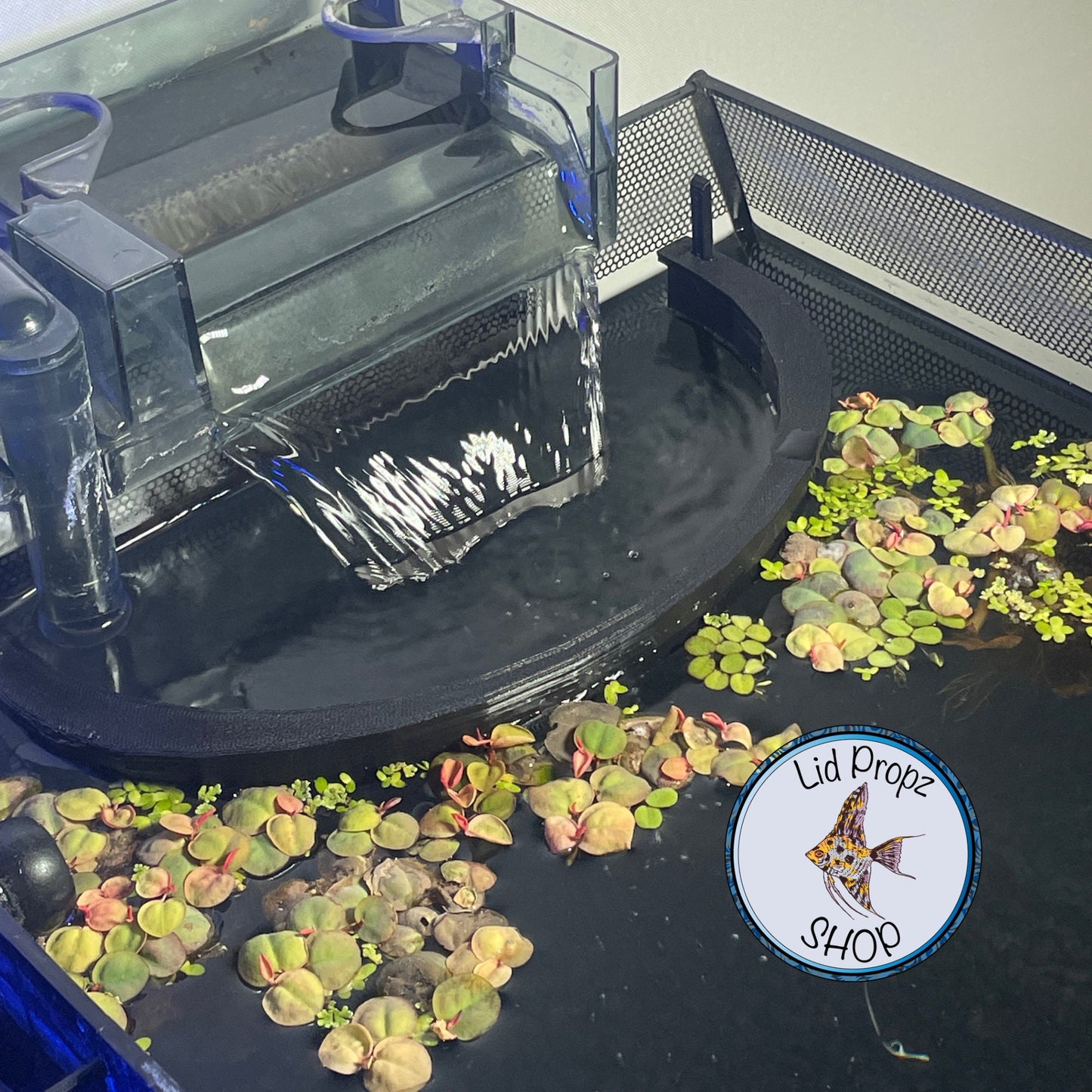 HOB Floater Protection, Water Level Adjusting Floater Protection, Small, Medium, and Large.